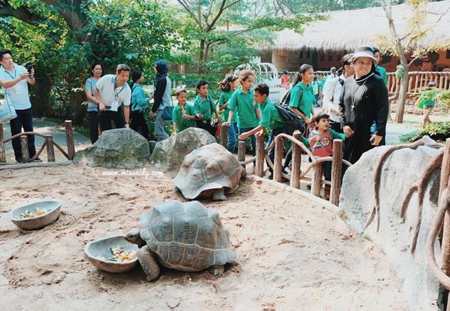 tiket masuk faunaland ancol 2018 tiket masuk faunaland ancol 2018