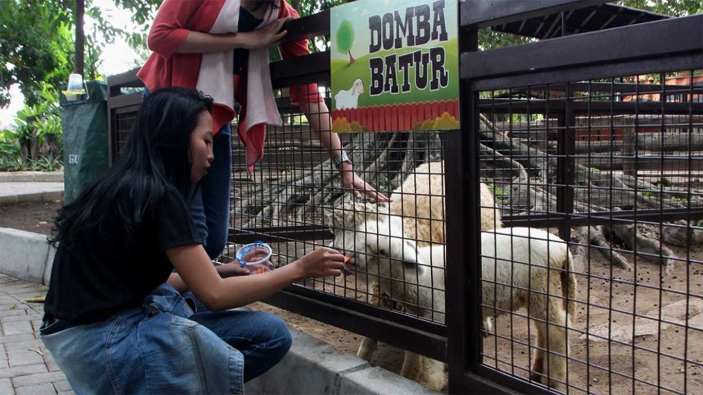 Harga-Tiket-Gembira-Loka-Zoo Harga-Tiket-Gembira-Loka-Zoo