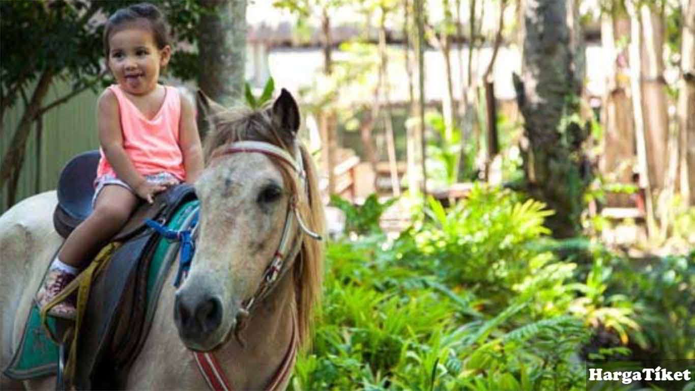 harga tiket masuk bali zoo