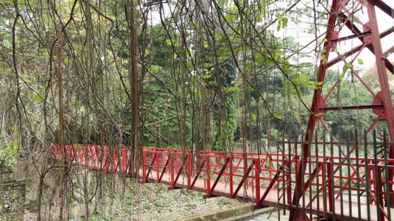 tiket masuk kebun raya bogor 2019 tiket masuk kebun raya bogor 2019