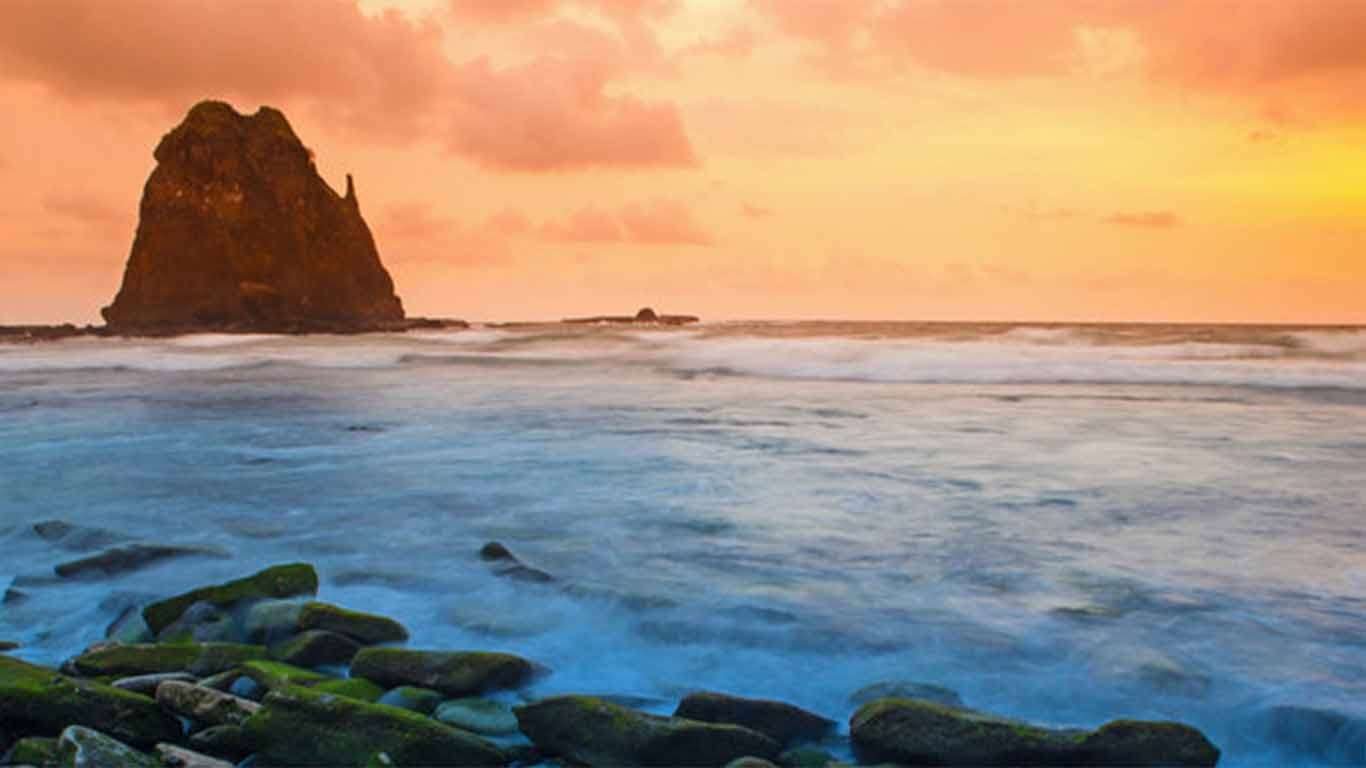 tiket masuk papuma jember 2019 tiket masuk papuma jember 2019