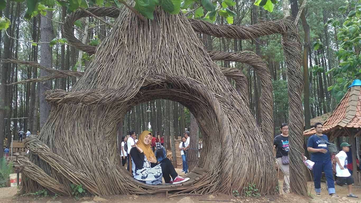 tiket masuk pinus pengger 2019