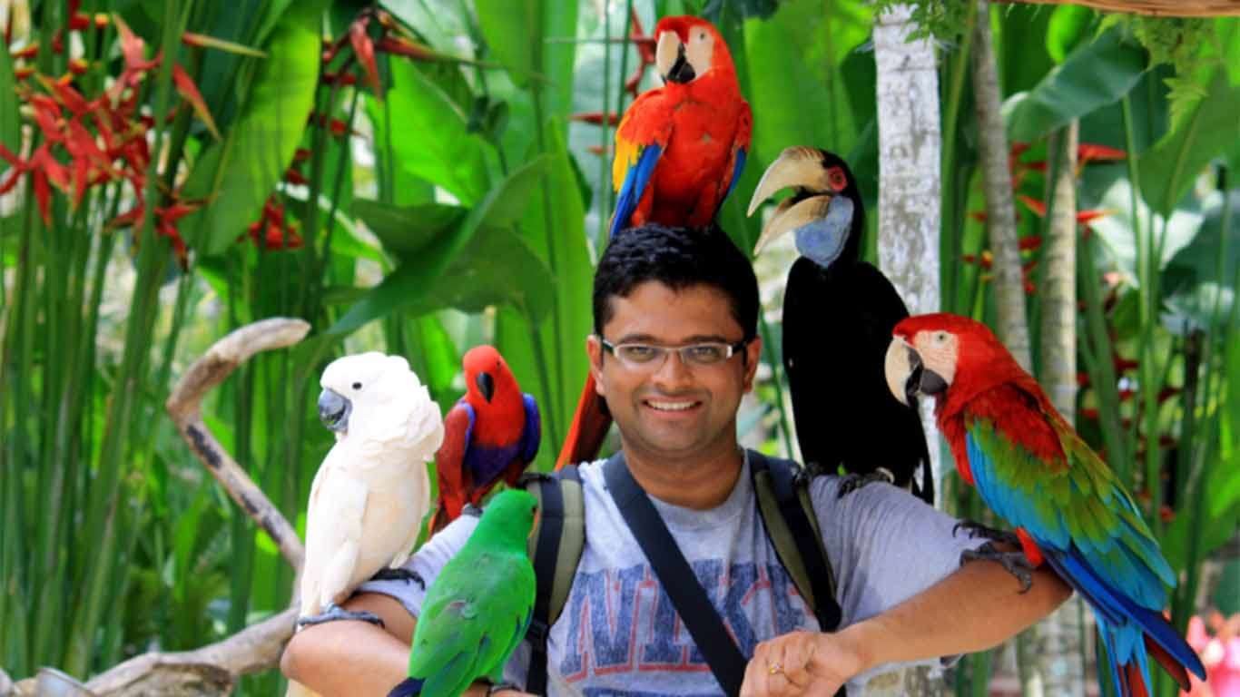 tiket murah bali bird park