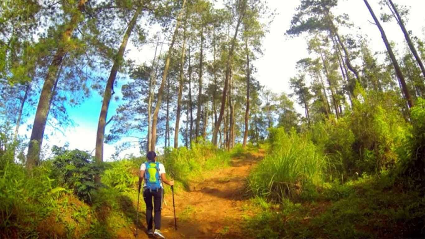 wana wisata jayagiri