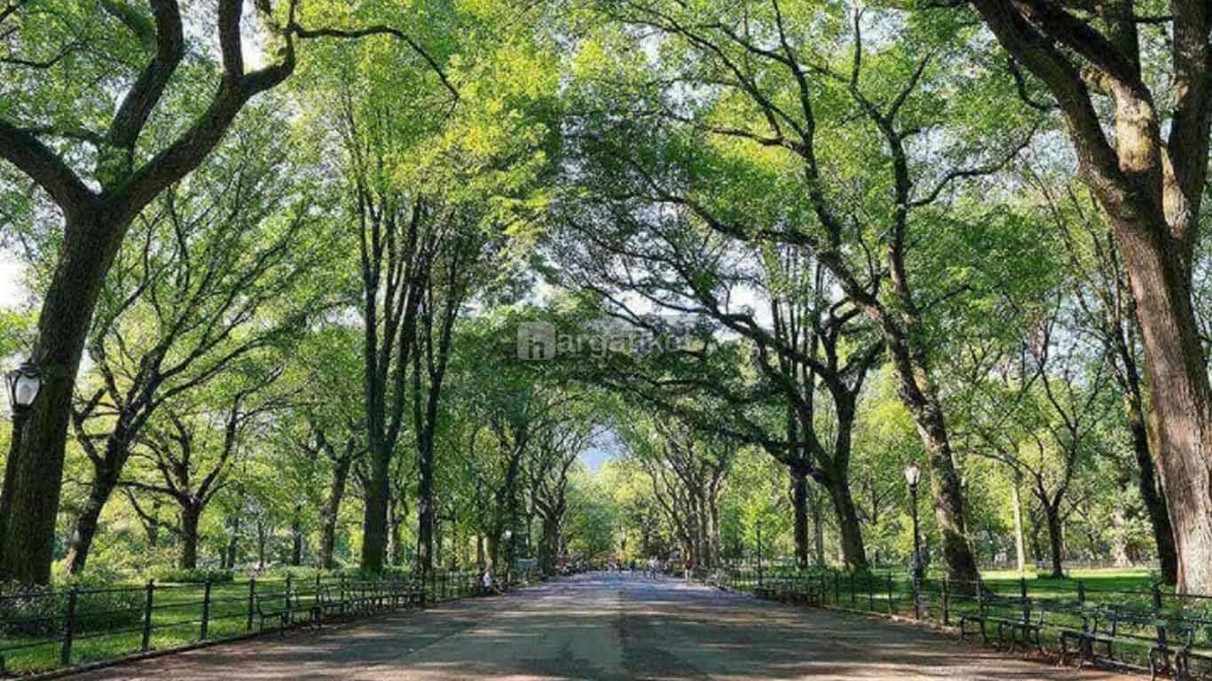 Hutan Kota Jombang Hutan Kota Jombang