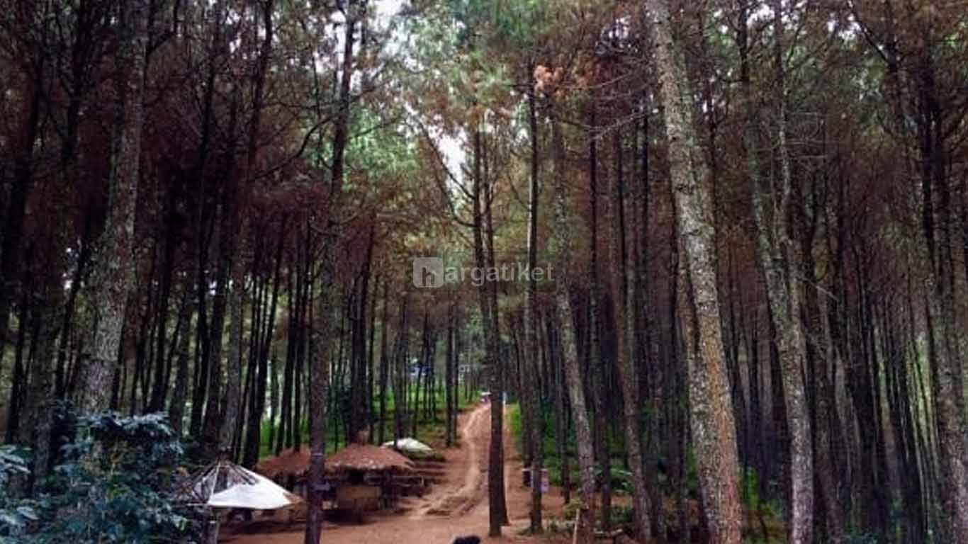 Kampung Pasir Angling Kampung Pasir Angling