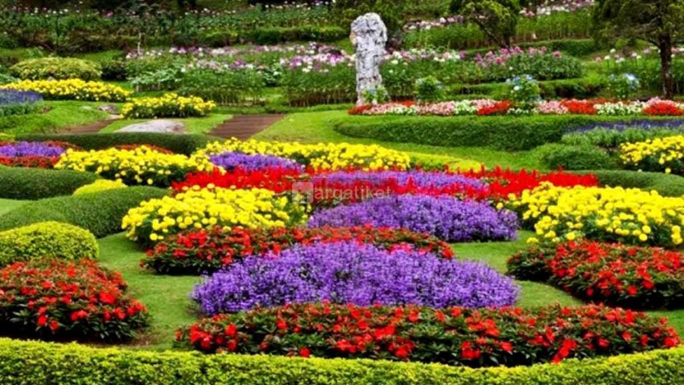 Kebun Bunga Cihideung Kebun Bunga Cihideung