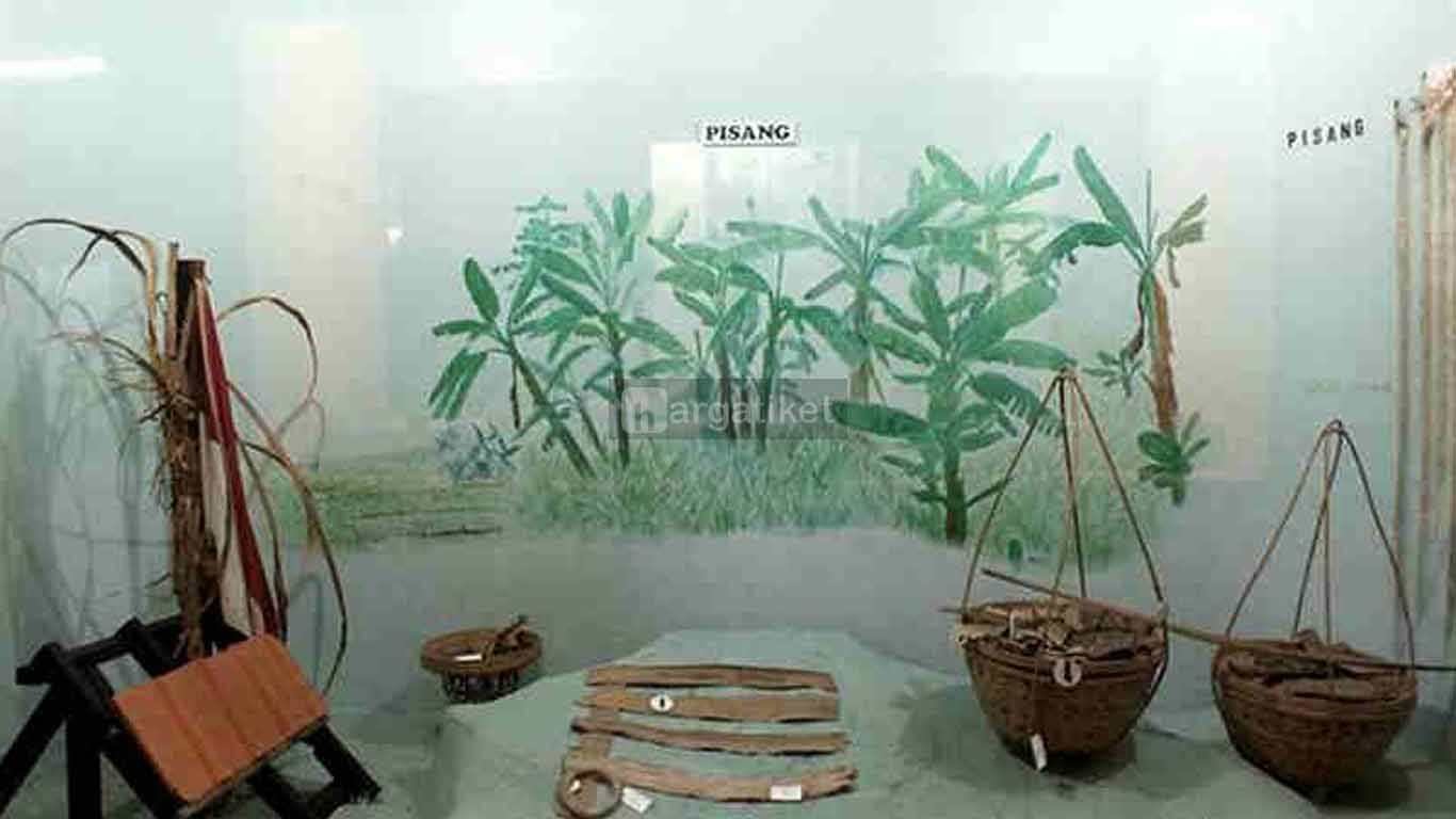 Museum Etnobotani Museum Etnobotani