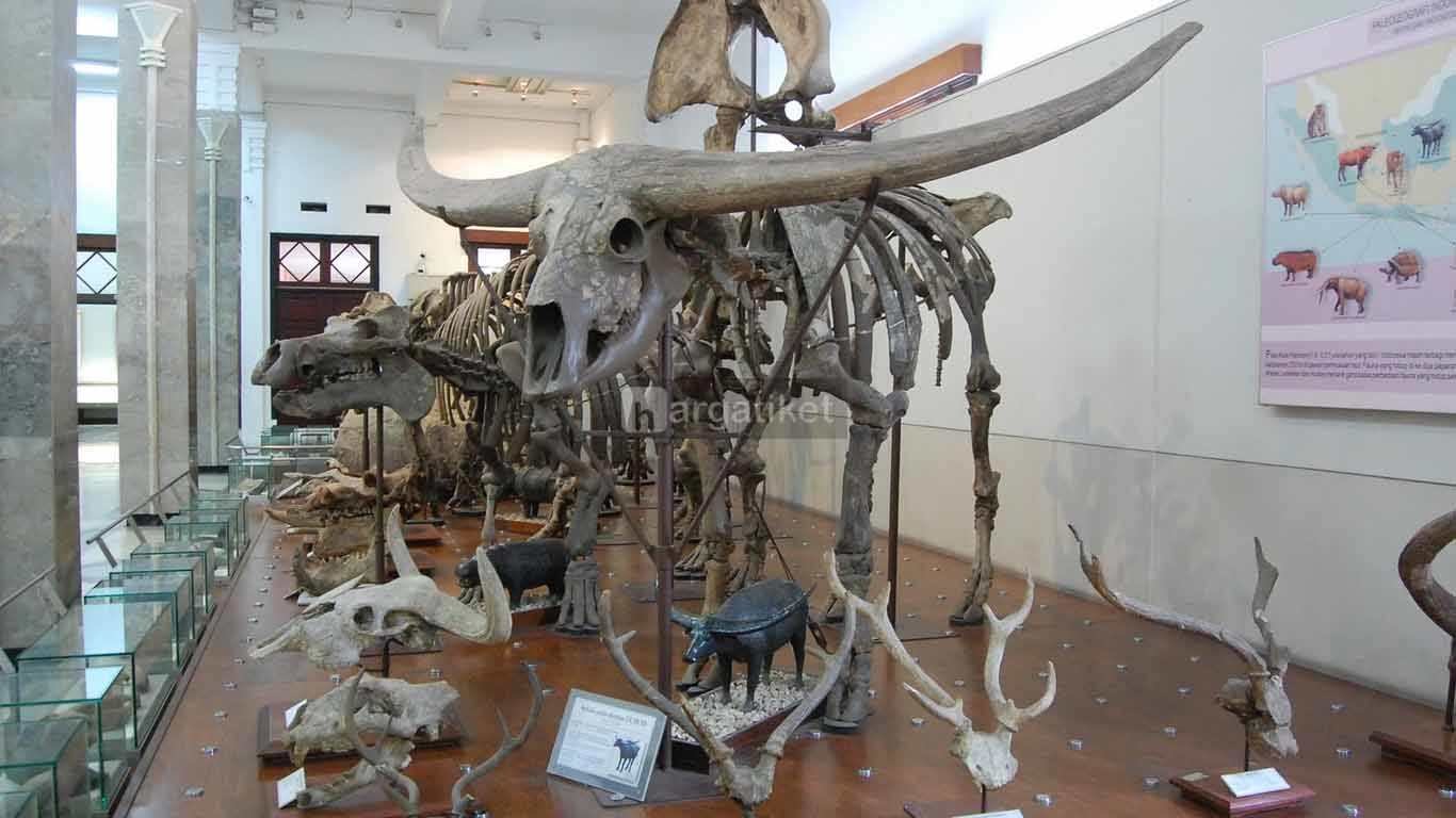 Museum Geologi Bandung Museum Geologi Bandung