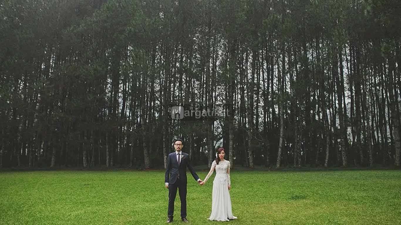 Pine Forest Camp Lembang Pine Forest Camp Lembang