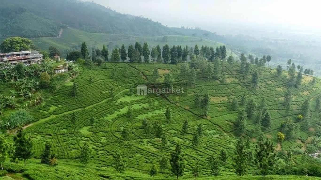 Taman Riung Gunung Taman Riung Gunung
