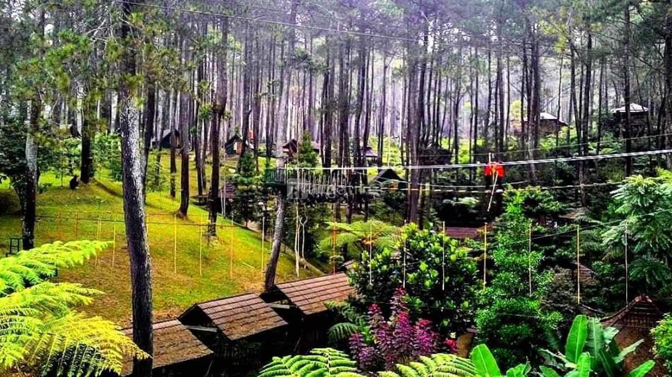 Terminal Wisata Grafika Cikole Terminal Wisata Grafika Cikole