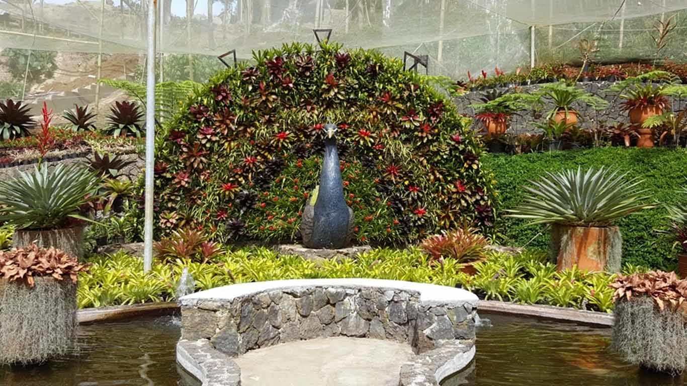 tempat wisata di bandung lembang tempat wisata di bandung lembang