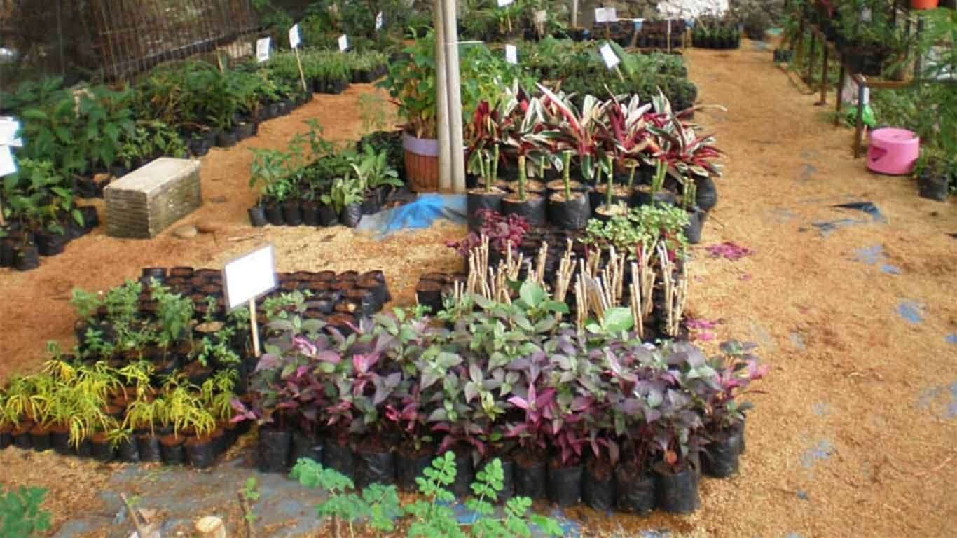 tiket taman herbal insani