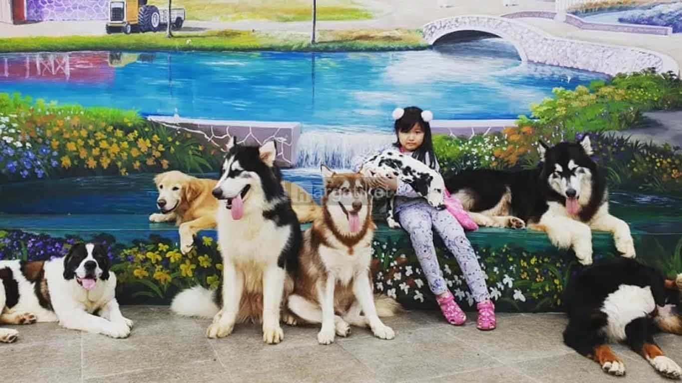 wisata bandung murah meriah 2019 wisata bandung murah meriah 2019