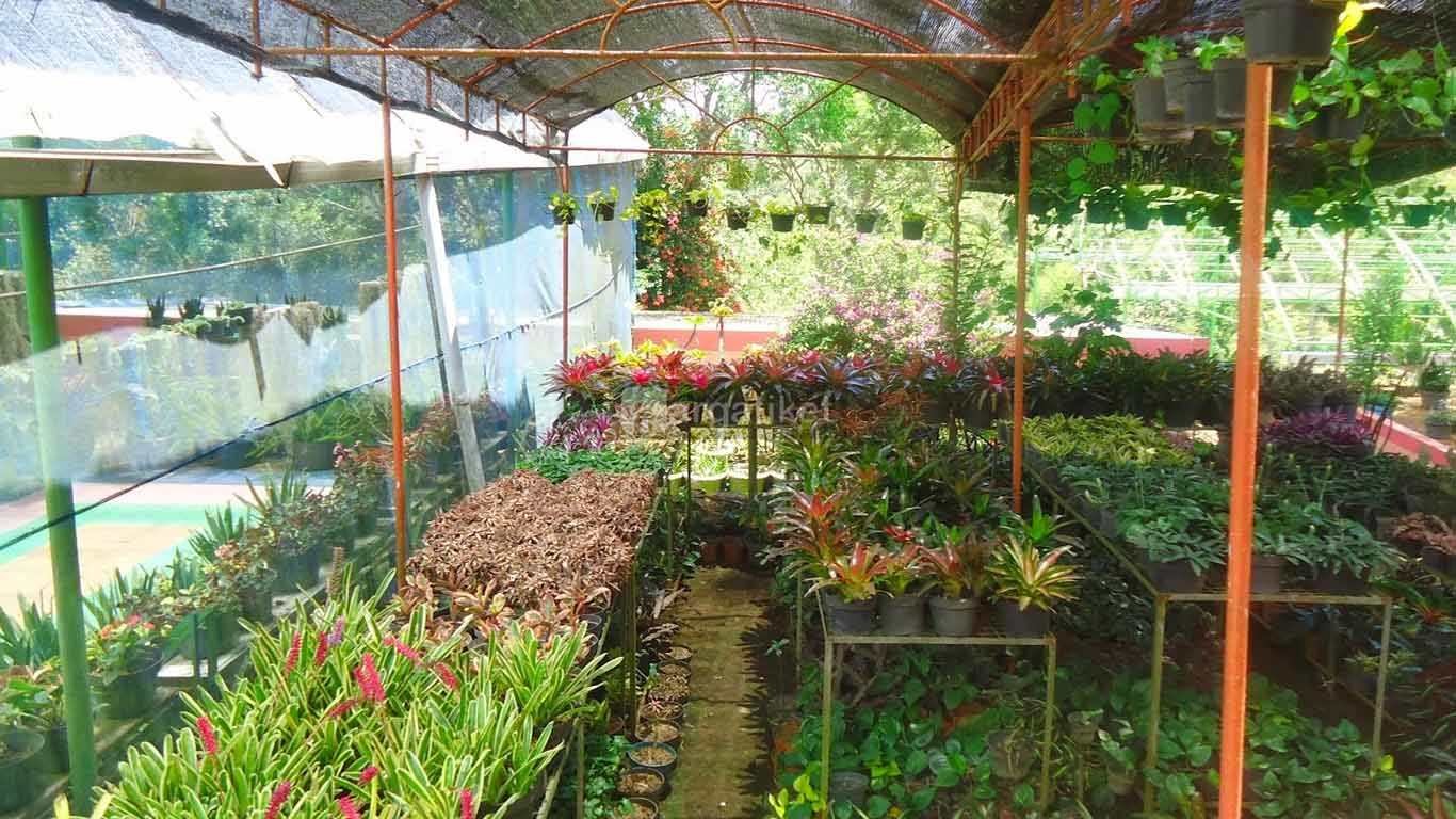 Bukit Flora Bukit Flora