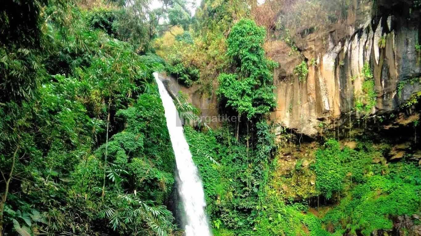 Coban Jahe Coban Jahe