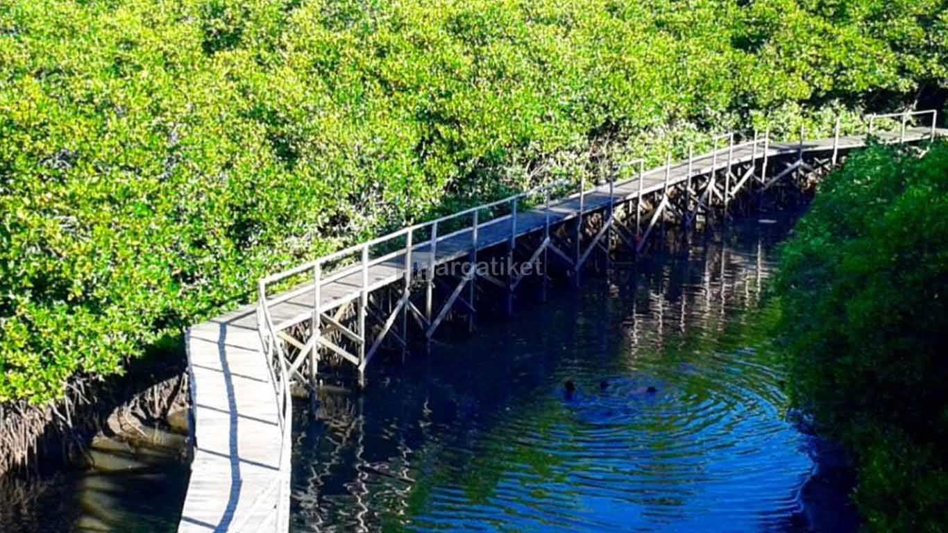 Hutan Mangrove Denpasar