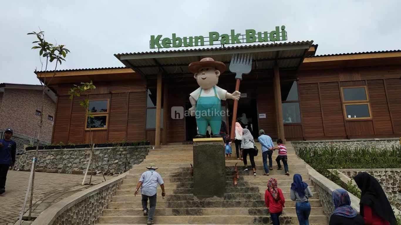 Sawahe Pak Budi Sawahe Pak Budi