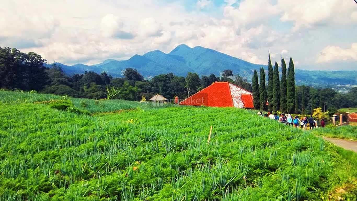 Wisata Agropolitan