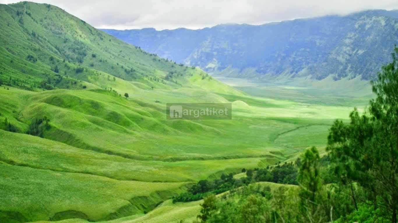 tempat wisata lumajang