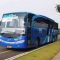 harga tiket bus damri