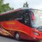 harga tiket bus putera mulya