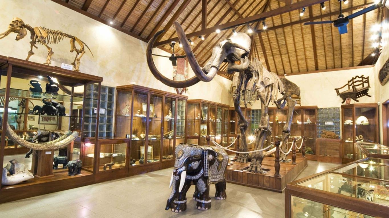 Museum and Elephant Discovery Information Centre Museum and Elephant Discovery Information Centre
