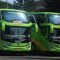 Tiket Bus Malang Jakarta