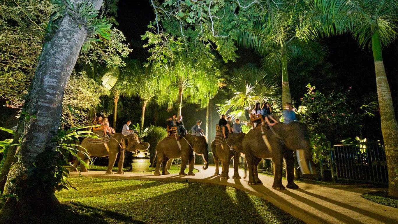 kebun gajah bali kebun gajah bali