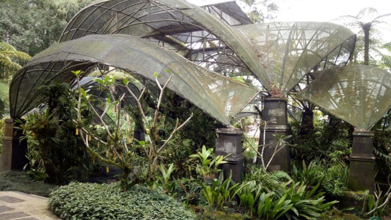 kebun raya bedugul bali kebun raya bedugul bali