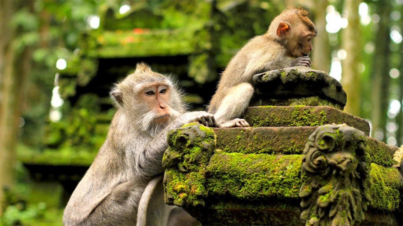 pura luhur lempuyang