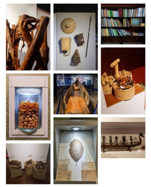 museum nasional sejarah alam indonesia kota bogor jawa barat