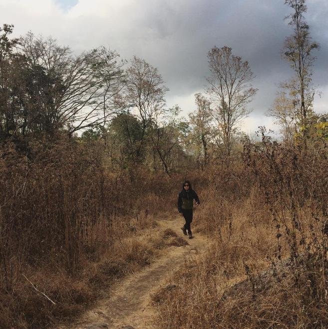 Gadokan Kuda Sembrani