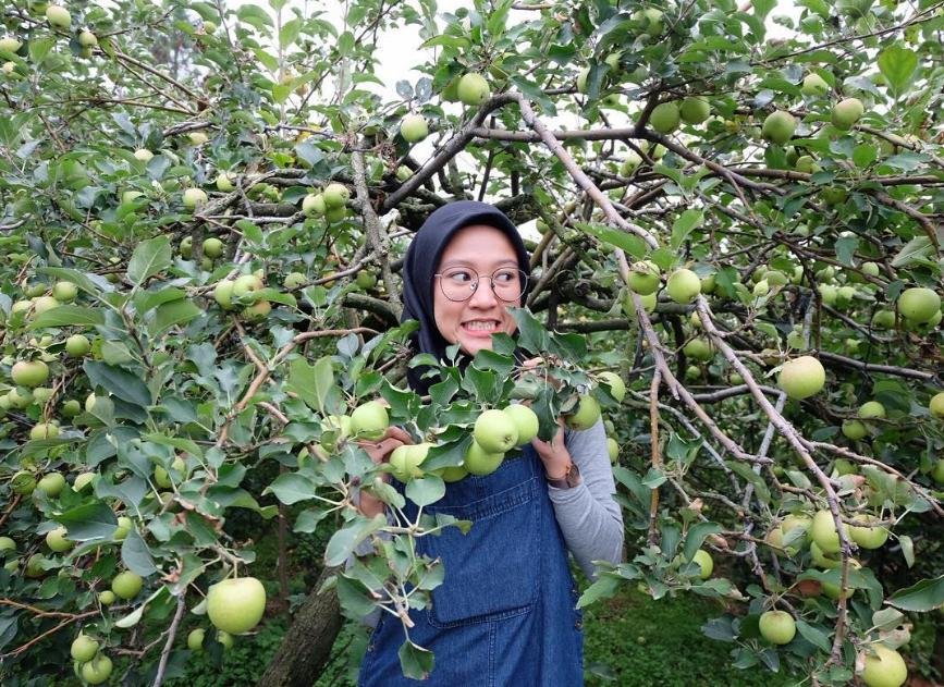 Kebun Pujon Kebun Pujon