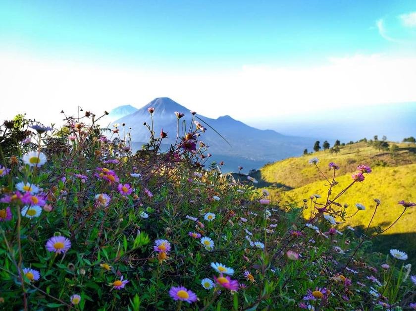 bukit teletubbies batu