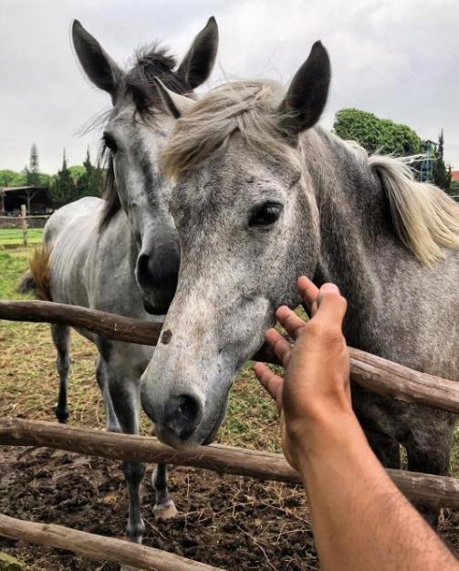 de ranch puncak bogor
