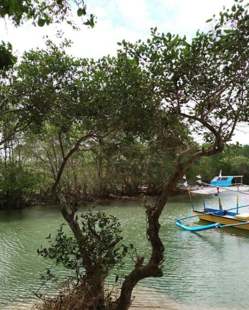 pantai tamban di malang