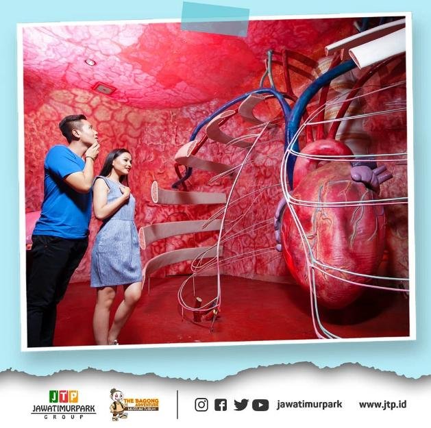 zona museum tubuh zona museum tubuh