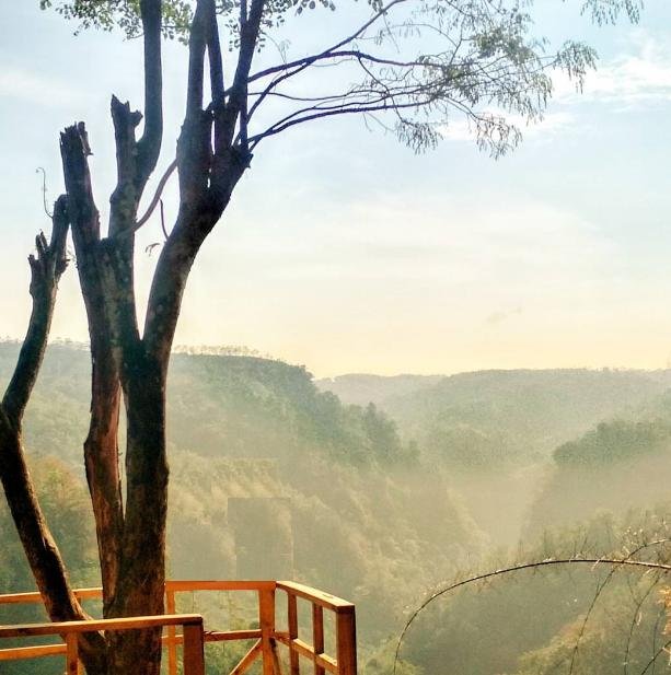 Leuweung Oko D’Great