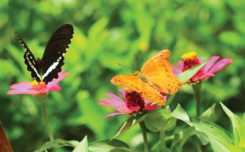 gambar scientia square park gambar scientia square park