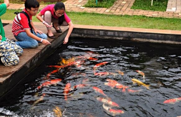 peta scientia square park peta scientia square park