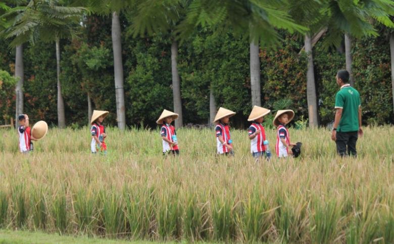 scientia square park review scientia square park review