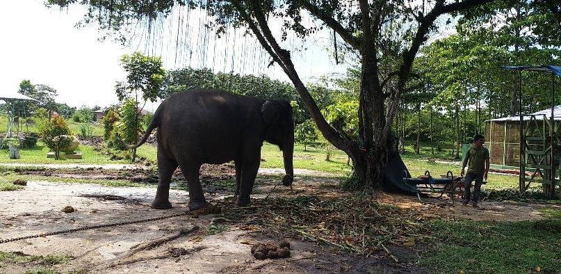 tempat wisata di pekanbaru yang lagi hits tempat wisata di pekanbaru yang lagi hits