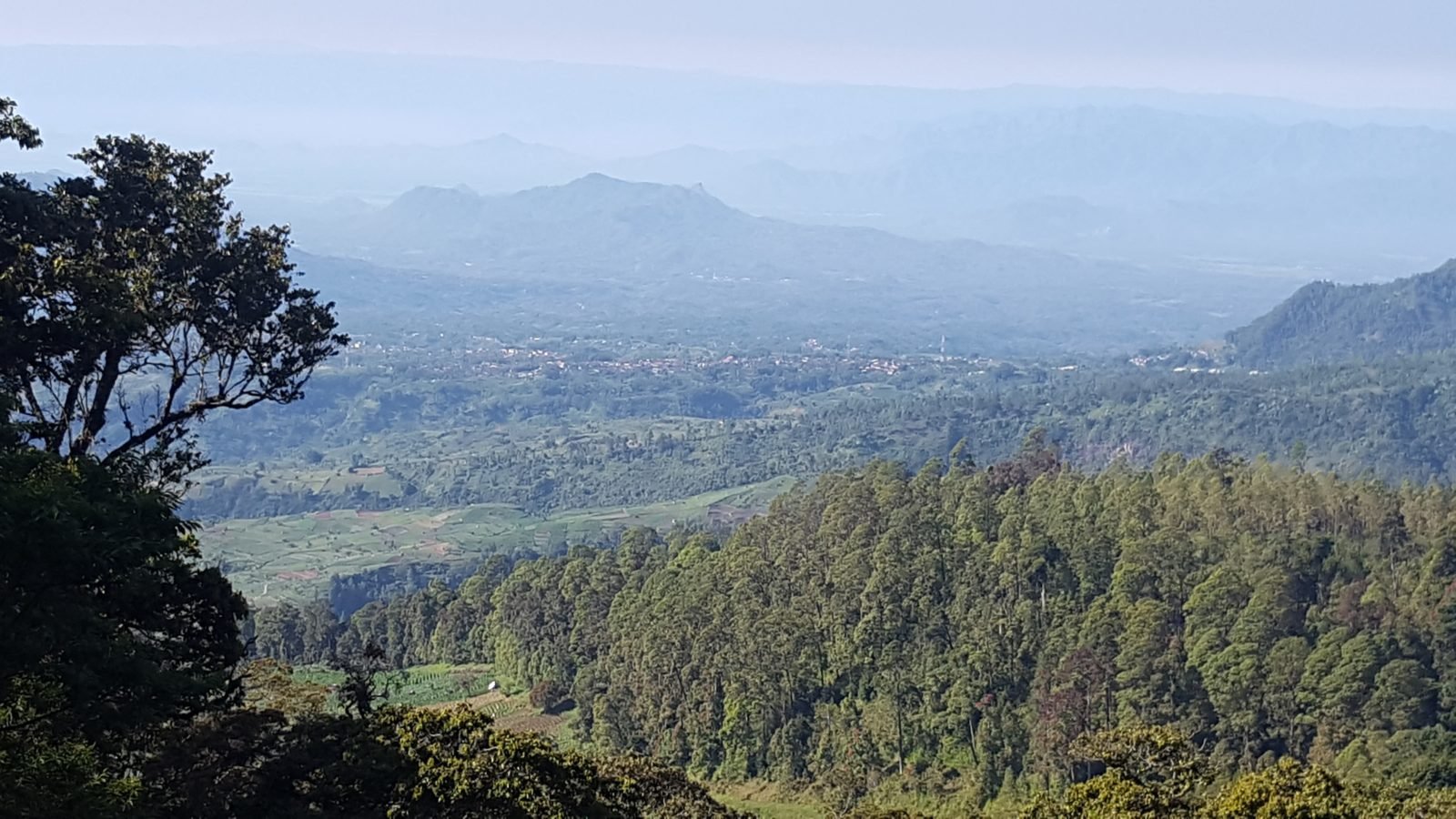 Harga Tiket Masuk Cemoro Kandang