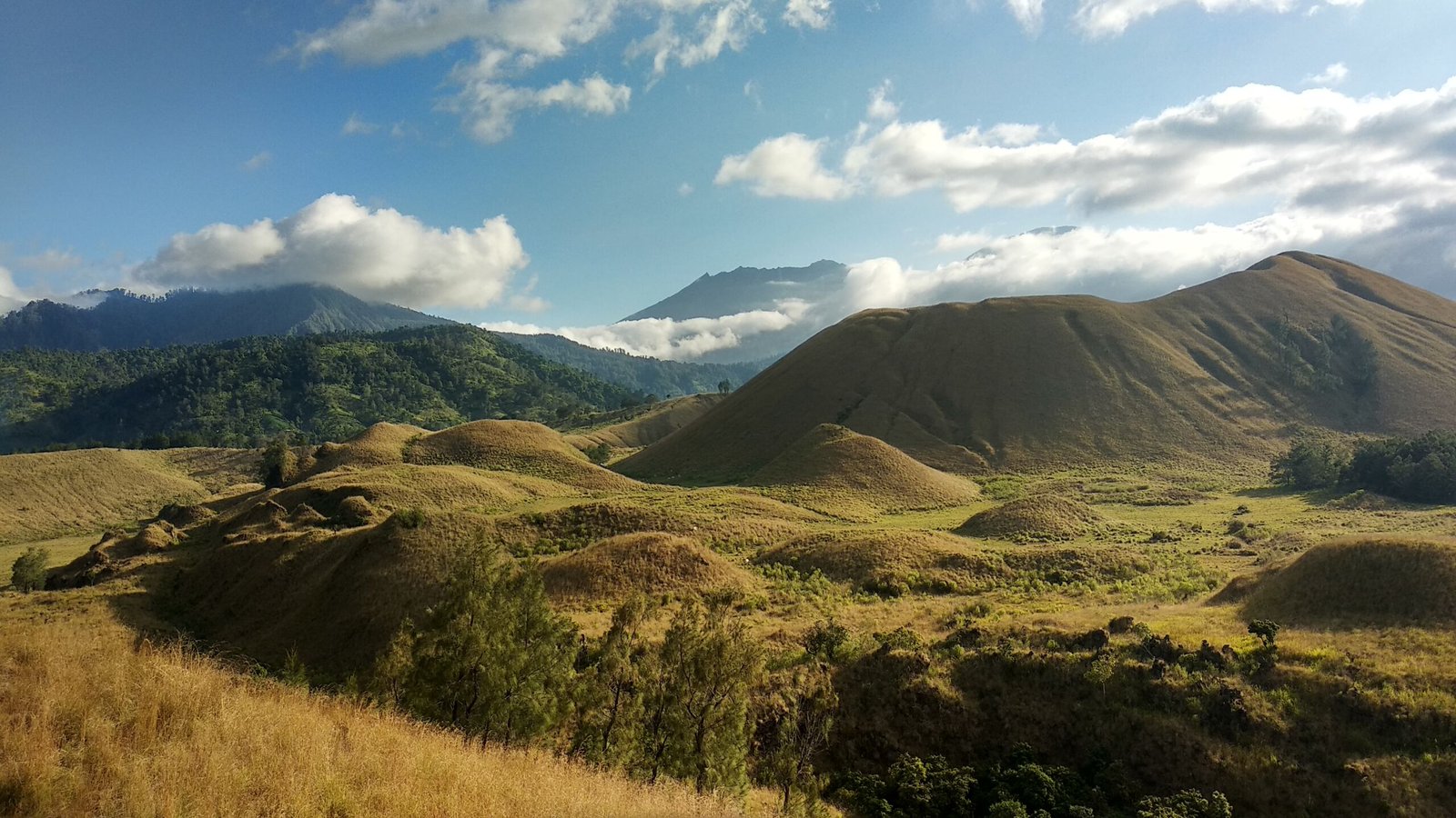 Harga Tiket Masuk Kawah Wurung
