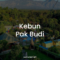 Kebun Pak Budi