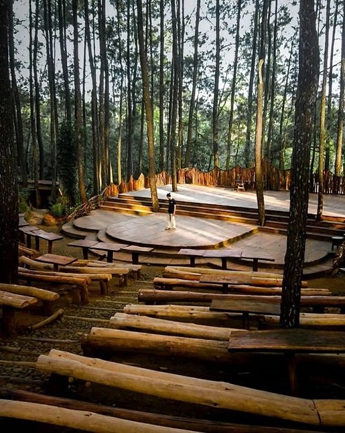 hutan pinus mangunan dlingo hutan pinus mangunan dlingo