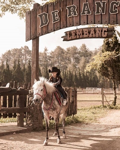 tempat wisata kuda di lembang tempat wisata kuda di lembang