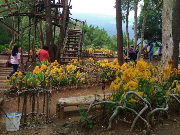 wisata mangunan wisata mangunan